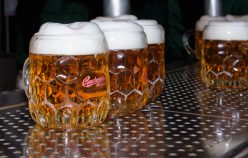 Schweizerhaus Saison-Eröffnung 2018 - True my Eyes