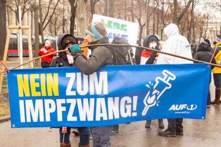 WIEN, ÖSTERREICH - 29. JAENNER: Teilnehmer (in-Innen) der Demonstration gegen Corona-Maßnahmen der Bundesregierung am Heldenplatz am 29. Janner 2022 in Wien, Österreich.
